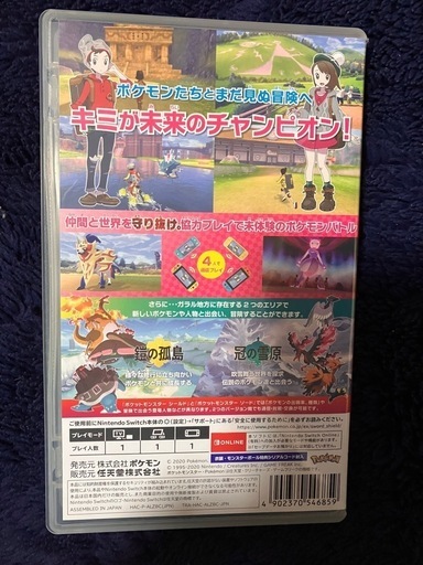 Switch、ポケモンカセット