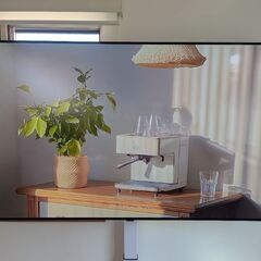 65インチ LG OLED テレビ (OLED65A3PJA) 美品