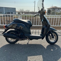 ホンダ　トゥデイ　AF61型　キャブ車　2002年モデル　埼玉県　越谷市の画像
