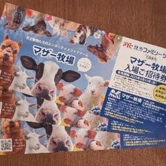 マザー牧場チケット5枚