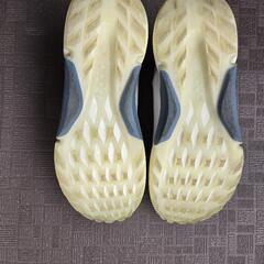 ecco ゴルフシューズ BIOM H4 BOAの画像
