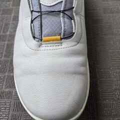 ecco ゴルフシューズ BIOM H4 BOAの画像