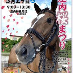 今年も庄内桜まつりに参加させていただきます。