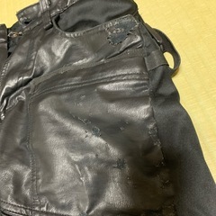 ワークマンライダースパンツの画像