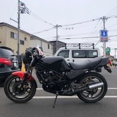 RZ250Rの画像