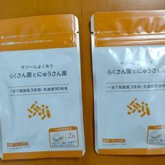 サジーによくあう　らくさん菌とにゅうさん菌　2個