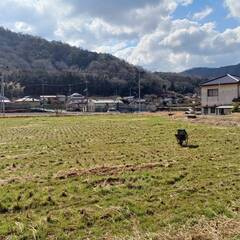 お手伝いしたいです！！何でもお手伝いできます（引っ越し、草むしり、畑仕事、etc..） - 手伝いたい/助けたい