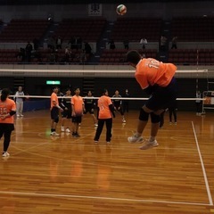 バレーボール仲間募集中 - スポーツ