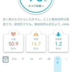 パラマウントベッド　アクティブスリープ　セミダブルの画像