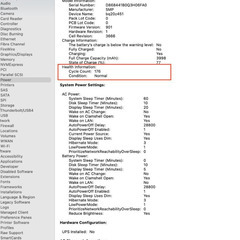 【使用状態は正常！】MacBookPro13' 2017 (176 回充電，256GB, US配列)の画像