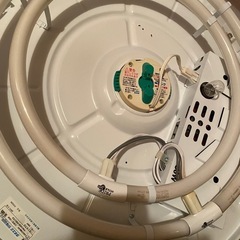 タキズミ、シーリングライトの画像