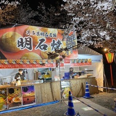 津山さくらまつり2025明石焼ブーススタッフ募集