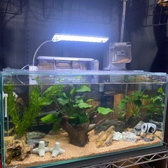 アクアリウムセット　