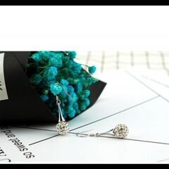 ≒j→→→m43-3/刻印/クリスタルフープピアスC＊Bの画像