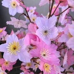 桜飾り・桜立ち木🌸1mの画像