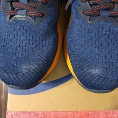 【ASICS 25.5cm】 アシックス  ランキングシューズ   新品靴ひも付きの画像