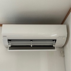 しろくまくん2台の画像