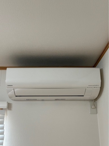 しろくまくん2台