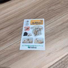 各種ステッカー5枚組の画像