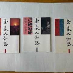 【値下③】［奈良大和路］DVDの画像