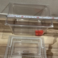 【取引完了済み】百均 虫かご