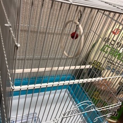 鳥かごの画像