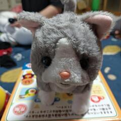 値下げ中！動き回る猫