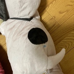 ぬいぐるみの画像
