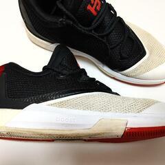 アディダス crazylight boost 2.5 ローコアブラックハーデン 中古レア本物の画像