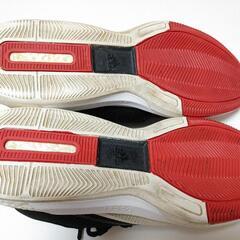 アディダス crazylight boost 2.5 ローコアブラックハーデン 中古レア本物の画像