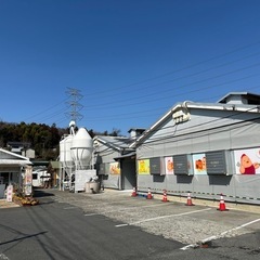 たまご屋さんの事務・販売 スタッフ募集！の画像