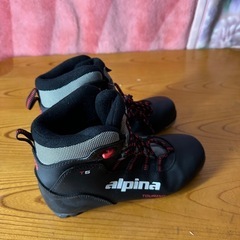 プライスダウン！！アルピナ alpina クロスカントリー ツーリング ブーツ T5 サイズ38！シンサレイト スキーブーツ クロカンの画像