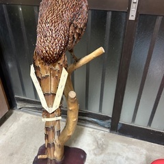 山鳥　剥製の画像