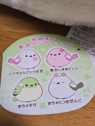 ふくふくシマエナガ春色びより桜まちゃすけ (ライダー) 札幌の