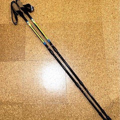 カーボン トレッキング ポール ティップ新品 アンチショック付き 登山 ハイキング ノルディックウォーキングの画像