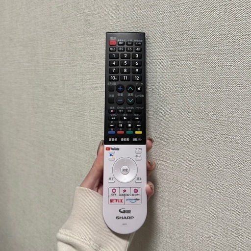 【美品】SHARP 55V 4K 有機EL テレビ リモコン付