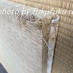 中古　スタイロ畳　防虫加工　9枚セット　琉球畳　正方形　難ありの画像