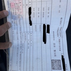 バギーの画像
