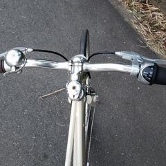 City Sports Bikeの画像