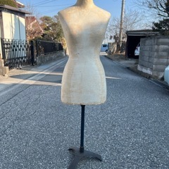 ボディ
