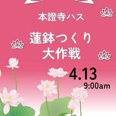 本證寺ハス鉢つくり 　～おうちで蓮を咲かせてみませんか～の画像