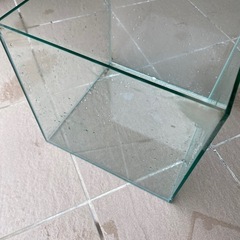 30cmガラス水槽
