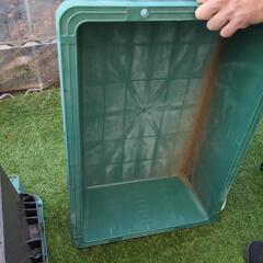  めだか 容器 プラ舟の画像