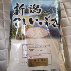 新潟県産 お米