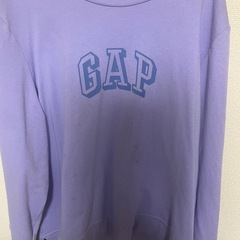 GAP セットアップ