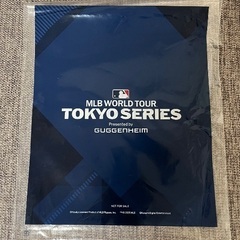 大谷翔平さん　クリアファイルセット新品の画像