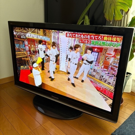 ビエラ 42型 プラズマテレビ
