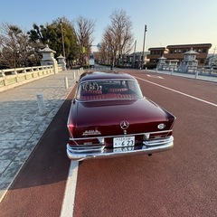 ベンツ230S 1967年式　美車　＊希少車　＊値引き可能！の画像