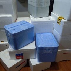発泡スチロール　箱　容器