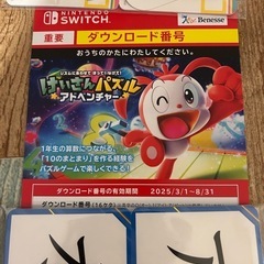 Switch ダウンロード版ソフト 新品未使用 他の画像